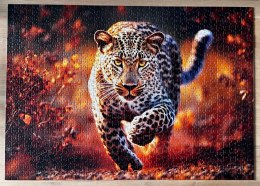 Puzzle Photo Odyssey: Dziki Leopard 1000 elementów Trefl premium plus 10818