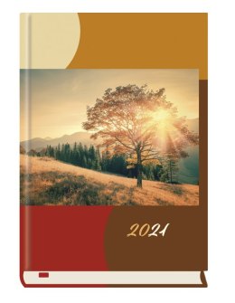 Kalendarz Powszechny 2023 B6 dzienny T-200F-04 Michalczyk i Prokop