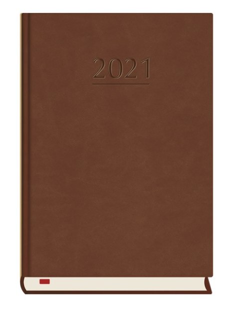Terminarz Powszechny B6 2024 - ciemno brązowy Michalczyk i Prokop T-200V-S2