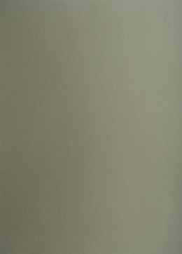 Karton kolorowy A3 160g 25ark ciemnoszary 400150187 OXFORD