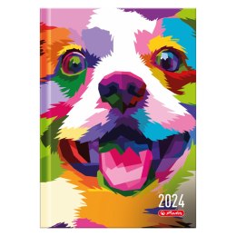 Kalendarz Dzienny A5 Pies Art 2024 9588526 Herlitz