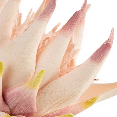 KWIAT FLORE 792 76 CM RÓŻOWY