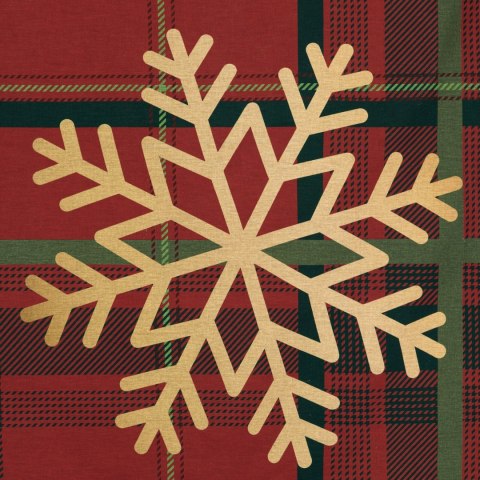 SW/POS/ESTRELLA 160X200 70X80/X2