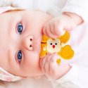 Zestaw grzechotek z przyssawką spinnery sensoryczne gryzaczki dla niemowląt