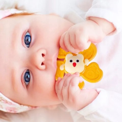 Zestaw grzechotek z przyssawką spinnery sensoryczne gryzaczki dla niemowląt