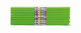 Bibuła marszczona 50x200cm, jasnozielony, 10 szt., HAPPY COLOR, HA 5020-51