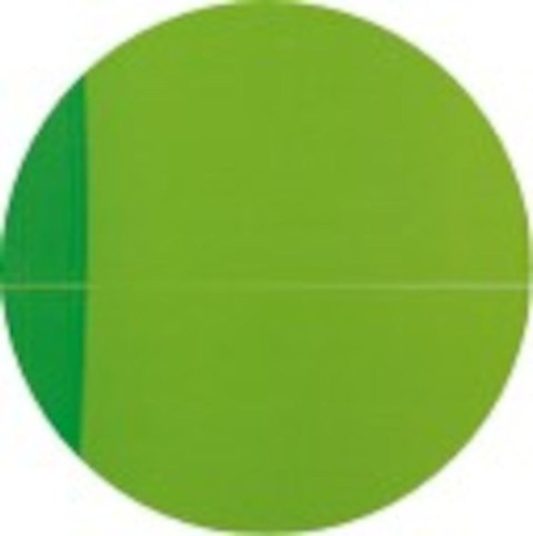 Skorowidz teleadresowy 120x148 80kartek OXFORD MY COLOURS 100101197