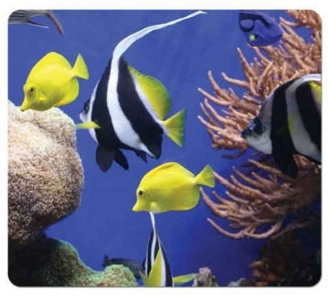 Ekologiczne_podkładki pod mysz z serii Earth 5909301 FELLOWES