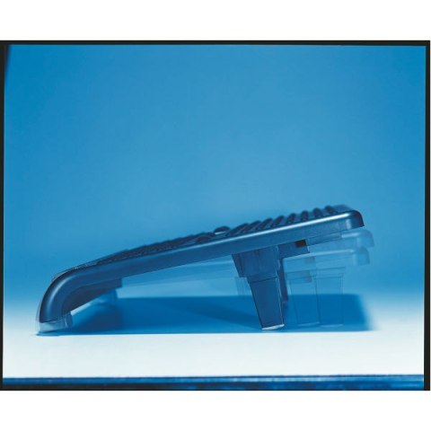 Podnóżek_regulowany czarny ESSELTE Dataline 67698