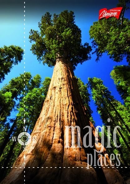 Brulion A4 96k lin.FOLIA UNIPA P