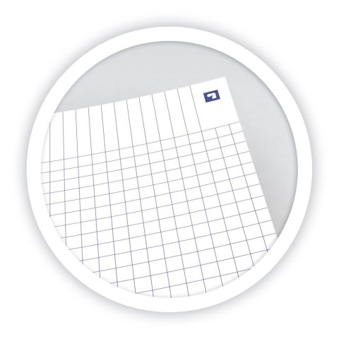 Kołonotatnik B5 60 kartek kratka/tagi Floral Oxford 400094955