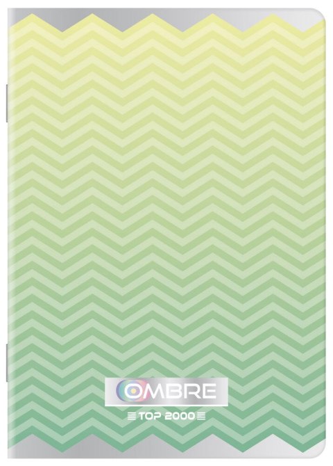 Zeszyt_A4 96k, kratka z marginesem, TOP 2000, OMBRE POWDER 400122207