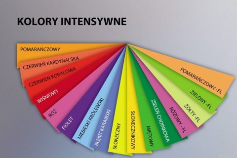 Papier xero A3 120g.1764 pomarańczowy TROPHEE (X)