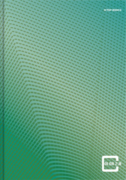 Brulion A4 96 kartek, COLOR 2.0 kratka z marginesem TOP 2000 400133377