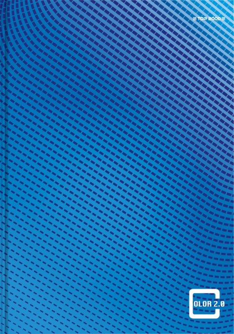 Brulion A4 96 kartek, COLOR 2.0 kratka z marginesem TOP 2000 400133377