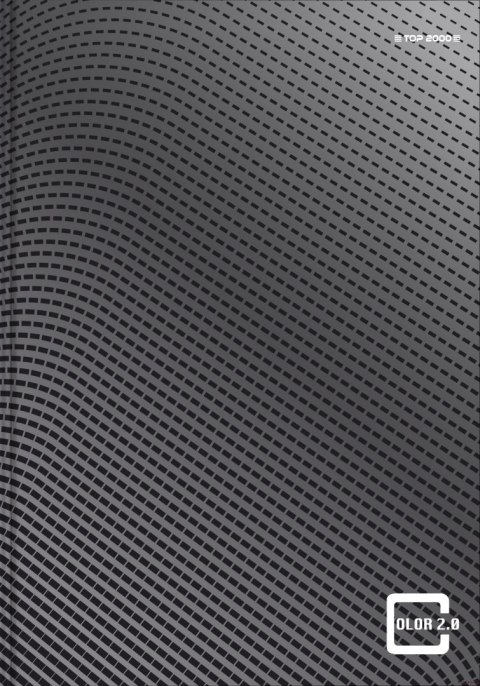 Brulion A4 96 kartek, COLOR 2.0 kratka z marginesem TOP 2000 400133377