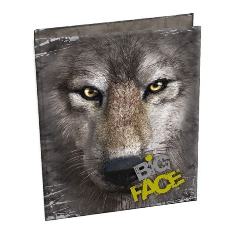 Segregator A4,BIG FACE THE MOUNTAIN *0672 ST.MAJEWSK