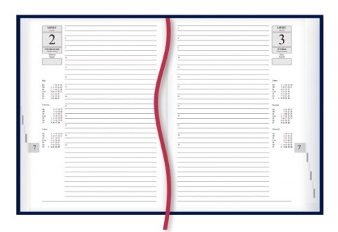 Kalendarz Asystent ALASKA A5 2026 - c.zieleń Michalczyk i Prokop T-237A-Z2