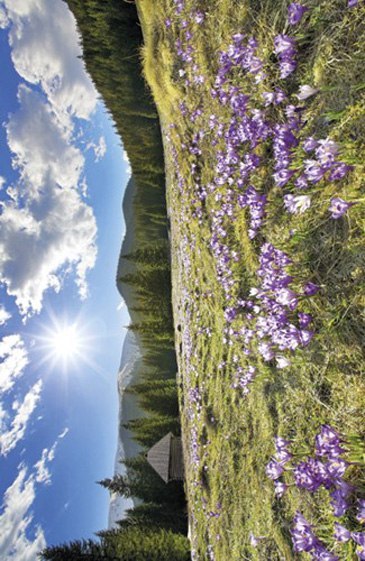 Kalendarz trójdzielny 2026 Morze Michalczyk i Prokop T-105T-02