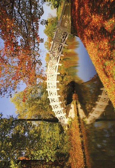 Kalendarz trójdzielny (H) 2026 Michalczyk i Prokop T-106T-10