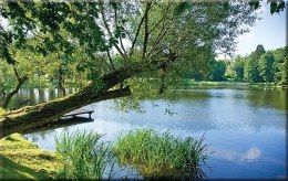 Kalendarz Trójdzielny z główką (T05) ZAMEK - krem 2025 TELEGRAPH