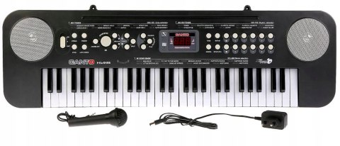 DUŻE ORGANY KEYBOARD ZASILACZ MIKROFON 54 KL. 5436