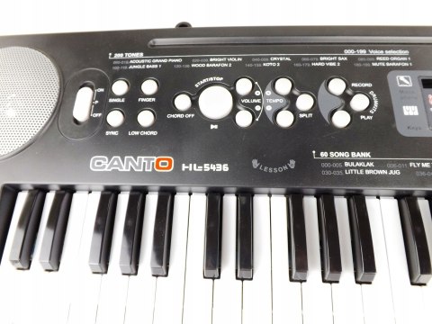 DUŻE ORGANY KEYBOARD ZASILACZ MIKROFON 54 KL. 5436