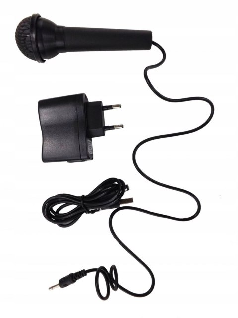 DUŻE ORGANY KEYBOARD ZASILACZ MIKROFON 54 KL. 5436