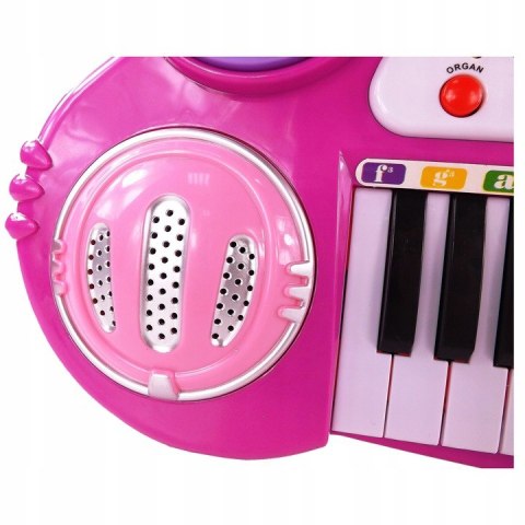 ORGANY ORGANKI NAGRYWANIE USB POWER BANK MP3 45R