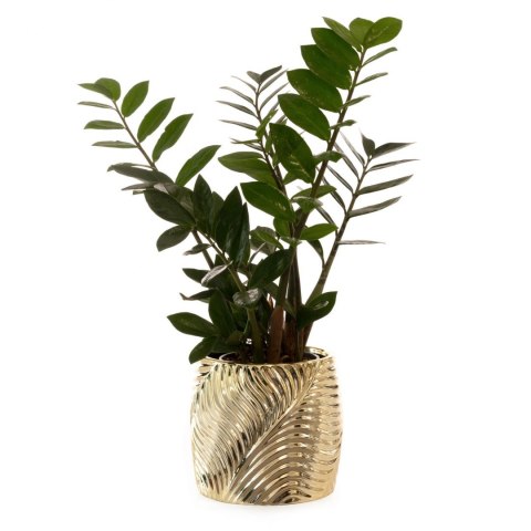 CERAMIKA 20X20X18 CM ZŁOTY