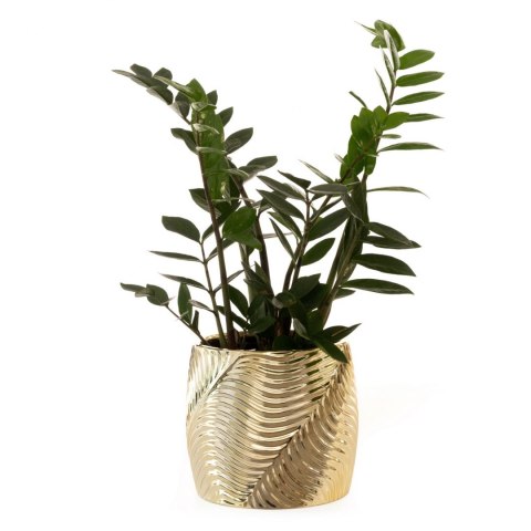 CERAMIKA 22X22X20 CM ZŁOTY