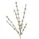 KWIAT FLORE DŁ.106CM DŁ.OZDOBA 56CM ZIELONY
