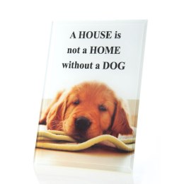 CERAMIKA 12X18 CM BIAŁY