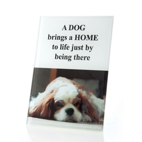 CERAMIKA 12X18 CM BIAŁY