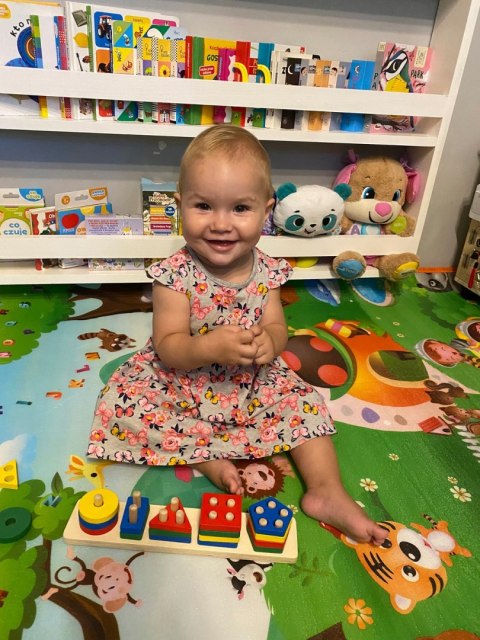 DREWNIANA UKŁADANKA LOGICZNA ZRĘCZNOŚCIOWA 2207