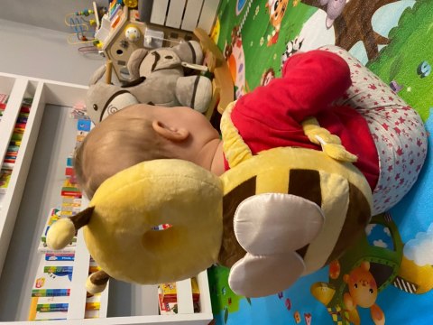 Poduszka ochraniacz na głowę do nauki chodzenia plecak bezpieczeństwo 042-1P