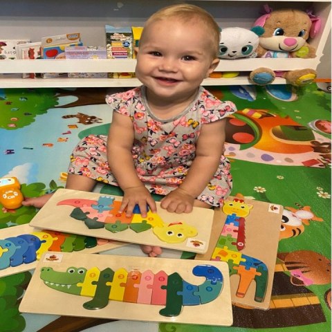 EDUKACYJNE DREWNIANE KLOCKI PUZZLE UKŁADANKA 8765Ż