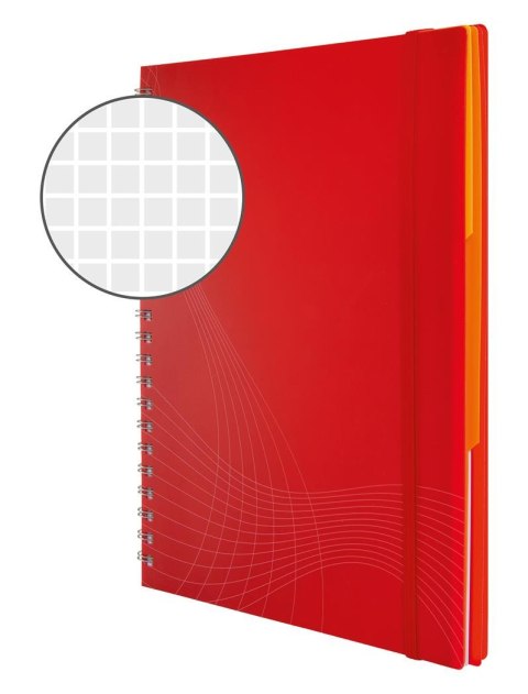 Kołonotatnik Notizio 7035 A4 kratka 90 kartek oprawa - tworzywo sztuczne, czerwony, Notizio by Avery Zweckform