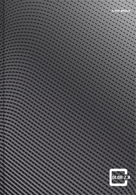 Brulion _ 96 kartek, COLOR 2.0 kratka z marginesem TOP 2000 400133374