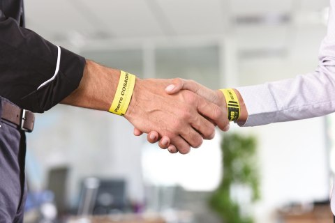 Opaski identyfikacyjne L4001-10 265x18 10 ark. żółte Avery Zweckform (X)