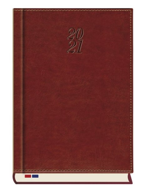 Terminarz Senator A5 2026 Michalczyk i Prokop T-240N-59 kalendarz dzienny + dodatkowe strony po zakończeniu miesiąca