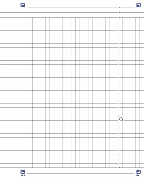 Kołonotatnik A5 60 kartek, kratka / tagi, BEAUTY, OXFORD, 400040559