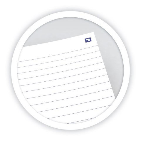 Kołonotatnik B5 60 kartek linia/tagi Floral Oxford 400094959