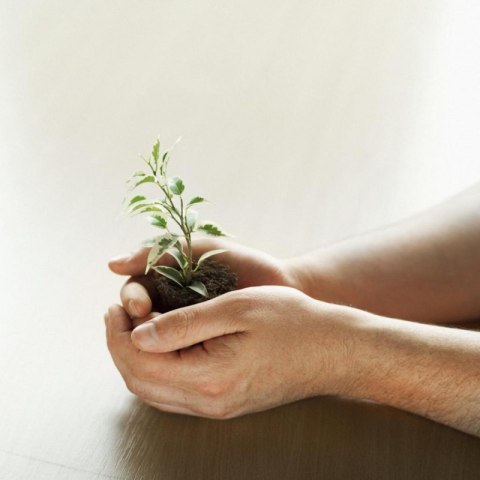 Nowy indeks blk0037011 Bloczek samoprzylepny ekologiczny POST-IT_ (653-1T), 38x51mm, 24x100 kart., żółty