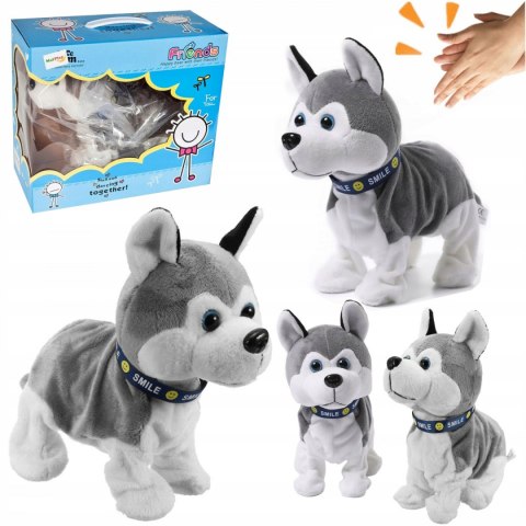 Interaktywny pies husky reaguje na dotyk JM-210A