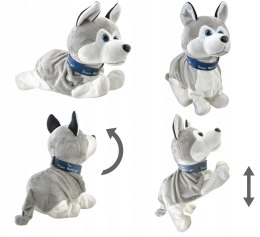 Interaktywny pies husky reaguje na dotyk JM-210A