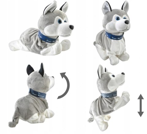 Interaktywny pies husky reaguje na dotyk JM-210A