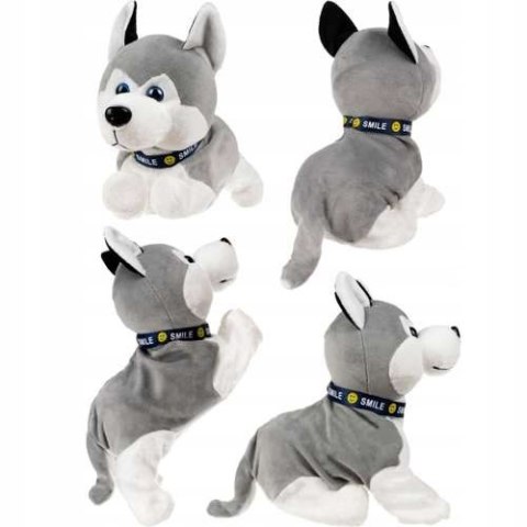 Interaktywny pies husky reaguje na dotyk JM-210A
