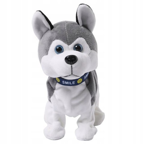Interaktywny pies husky reaguje na dotyk JM-210A