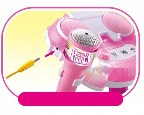 PODWÓJNY MIKROFON LEDOWY ZE STATYWEM 6806-HR